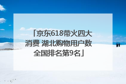 京东618带火四大消费 湖北购物用户数全国排名第9名